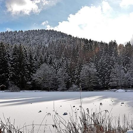 Le Petit Vosgien Διαμέρισμα Gérardmer Εξωτερικό φωτογραφία