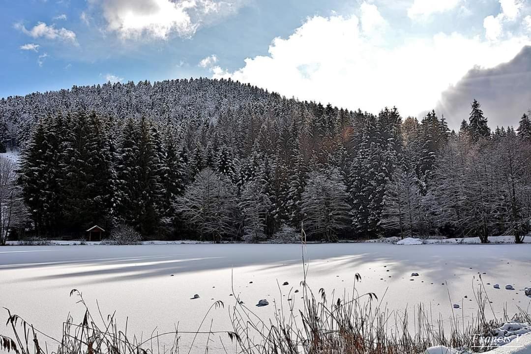 Le Petit Vosgien Διαμέρισμα Gérardmer Εξωτερικό φωτογραφία