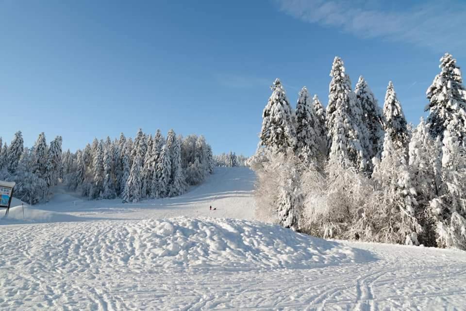 Le Petit Vosgien Διαμέρισμα Gérardmer Εξωτερικό φωτογραφία