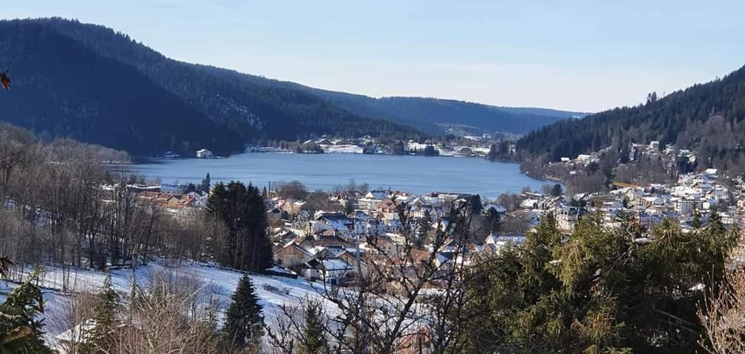 Le Petit Vosgien Διαμέρισμα Gérardmer Εξωτερικό φωτογραφία