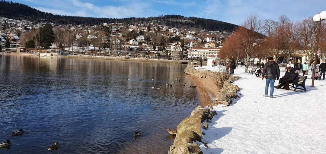 Le Petit Vosgien Διαμέρισμα Gérardmer Εξωτερικό φωτογραφία